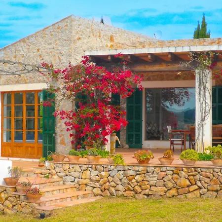 - 41516 Mallorca سون سيرفيرا